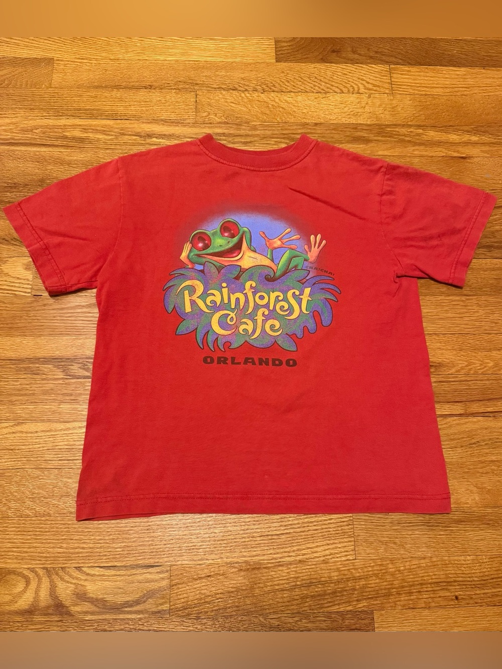 Rainforest Cafe Vintage T Shirt Boys 14/16 90s Y2K Orlando Florida Frog Shirt